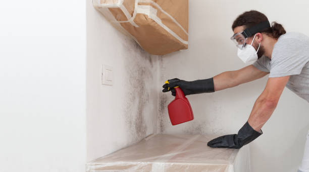 Professional Attic Mold Removal technician working in McHenry, MD